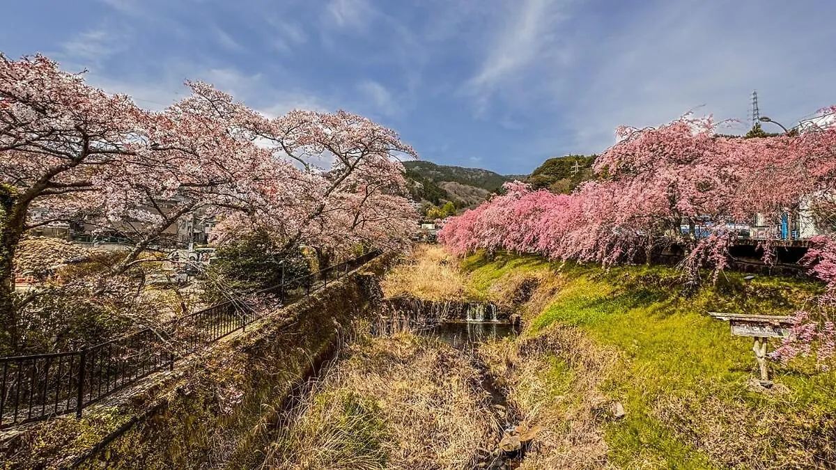 Hakone 100-Year Japanese Garden Residence Villa