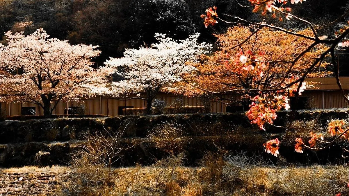 Villa Hakone 100-Year Japanese Garden Residence