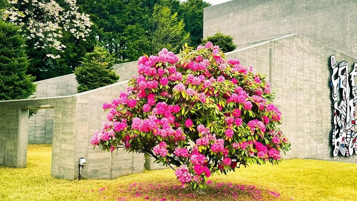 Hakone 100-Year Japanese Garden Residence Villa